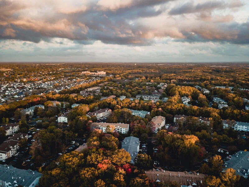 Mercer