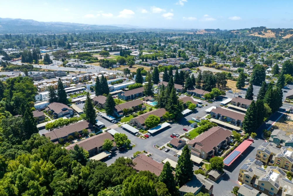 Napa